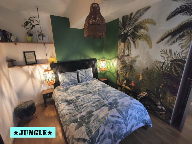 Appartement T2 ★ Jungle ★ au calme coté cour Centre ville VITRÉ