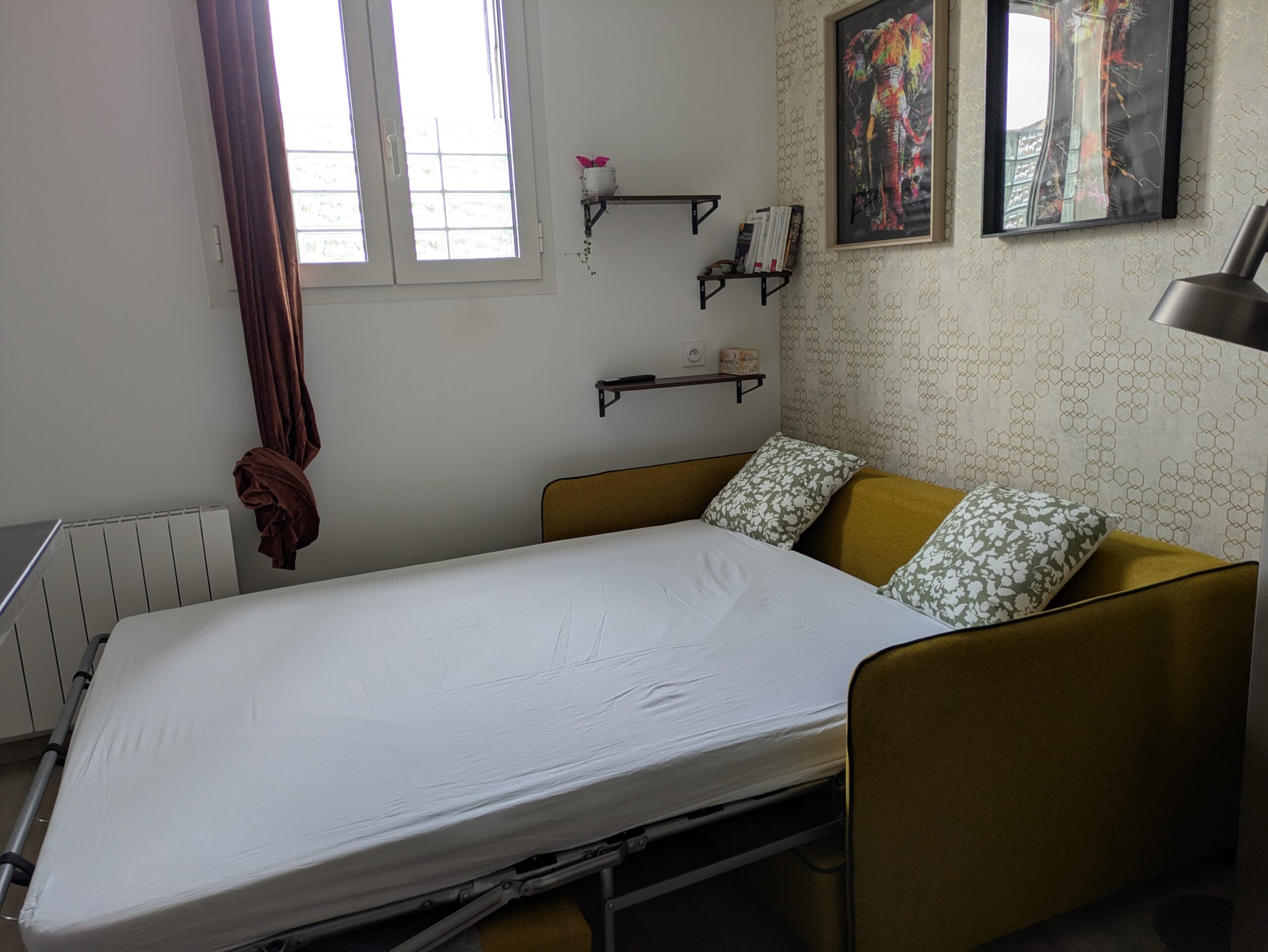 PXL_20250311_135205395 (1)